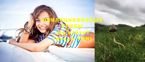 скорость mdpv Каменка