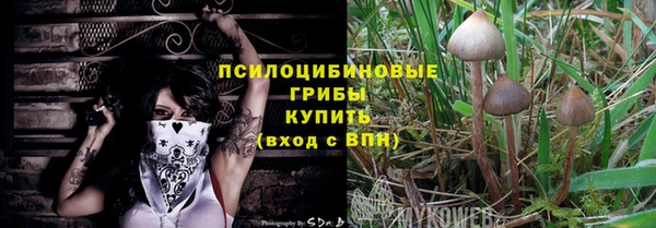 ECSTASY Инта